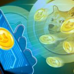 Bitcoin ecosystem reinvigorated by meme coins, new protocols